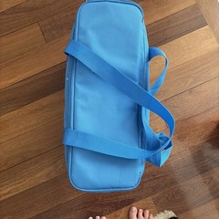 Trader Joe’s Insulated Cooler Tote Bag Pasadena CA Reusable Grocery Blue