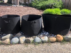 1/5/10/20/30/45/50-400 Gallon Fabric Grow Bags, planter, Fabric Pot, Black/Tan
