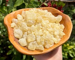 Natural Granular ‘A’ Grade White Copal Resin Incense: 1 lb + 6 Charcoal Tablets
