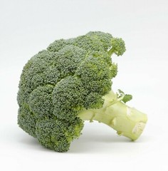 1200+ BROCCOLI WALTHAM SEEDS HEIRLOOM VEGETABLE GARDEN NON-GMO MICROGREENS USA