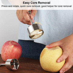 Fruit Corer Removal Tool Remover Fruits Pear Pitter and Vegetable Extractor US