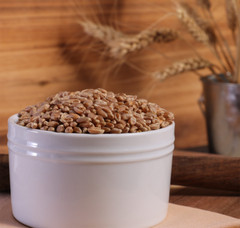 Organic Hard Red Wheat Berries – 3lbs