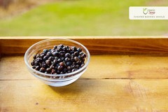 Organic Way Juniper Berries Whole – Organic, Kosher & USDA Certified