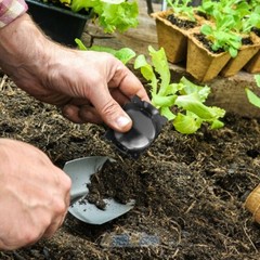 10pcs 8cm Plant Rooting Grow Box High Pressure Propagation Ball Air Layering Pod