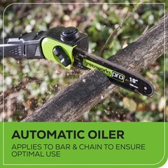 Greenworks 80V 10″ Cordless Pole Saw PS80L210, w/ 2Ah Battery and Rapid Charger