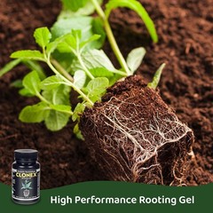 Rooting Gel – High-Performance Rooting Compound for Plant Cuttings, Contains …