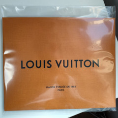 LOUIS VUITTON 8.5” x 7” X 4.5” Authentic Paper Shopping Tote Bag Small Orange