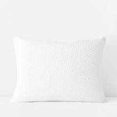 The Company Store Set of 2 Voile Sham