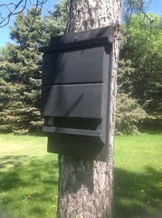 ^v^ NEW LARGE CHAMBER KEVLAR LINED SOLID BLACK BAT HOUSE BOX WITH PREDATOR GUARD