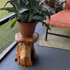 GREENAGE Natural Cedar Mushroom Stool Plant Stand Nightsstand Side Table 13.5″ H