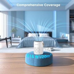 FULMINARE Air Purifiers for Any Room H13 True HEPA Quiet with Timer Night Light!