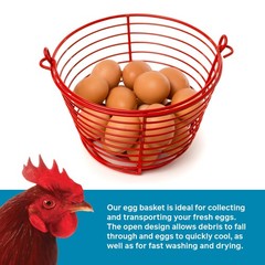 Prevue Pet Products 7.88 Inch Red Egg Basket 468