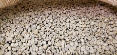 5 LB MEXICAN MEXICO HUATUSCO ALTURA GREEN UNROASTED COFFEE BEANS – ARABICA