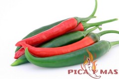SERRANO ROJO 30 SEEDS 100% GUARANTEED SPICY CHILLI CHILLI PEPPER