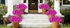 12 Bundles Artificial Flowers for Outdoors Decorat, Faux Silk