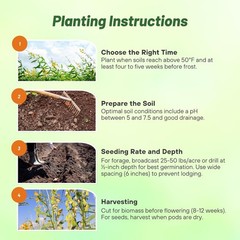 5 LBS Annual Sunn Hemp Pasture, Forage, and Cover Crop Seed