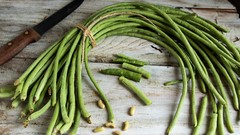 Taiwan Yard Long Bean Seeds (25) / HEAT TOLERANT / FLORIDA GROWN / RARE/ FLORIDA