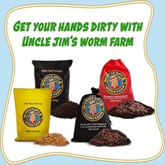 Red Wiggler Mix Composting Worms