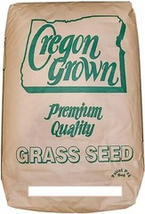 Annual Ryegrass Seeds for Planting – Premium Quality Rye Grass