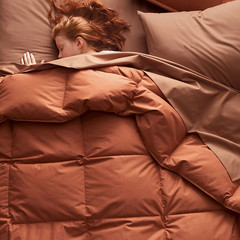 [FLASH SALE] The Company Store LaCrosse Premium Down Light Warmth Comforter