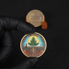 1-12 Months Sobriety Coin – AA Chip Sober Medallion and Prayer in Recovery