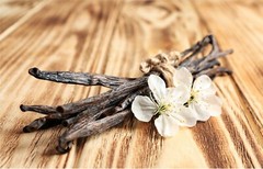 Tahitian Vanilla Beans – Whole Grade B Pods for Baking, Brewing, Extract Making