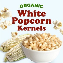 Food to Live Organic White Popcorn Kernels, 1 Pounds – 16 Ounce (Pack of 1)
