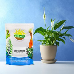 Organic Worm Castings, All Natural Soil Amendment, Soil Builder, and Fertilize