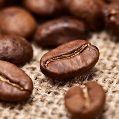 100% Jamaican Blue Mountain Coffee Beans Medium Roasted 1 Pound Bag