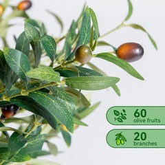 NOVAROOT 6FT Tall Olive Trees Artificial Indoor Faux Natural Wood Trunk Lifeli