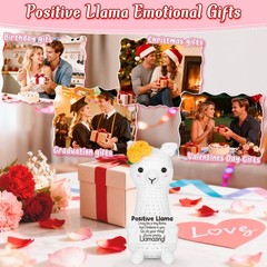 Funny Llama Stuffers Gifts for Kids, Teens, and Adults Birthday, Graduation,