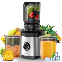 350W Cold Press Juicer Slow Masticating Machine Whole Fruit Vegetable Extractor