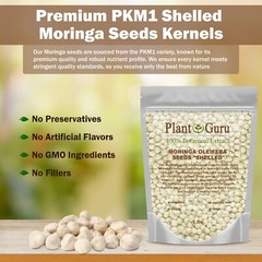 250 Moringa Oleifera Seeds Kernel 2 oz. SHELLED Fresh Organic Semilla De Moringa