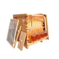 Auto Seep Bee Hives Boxes Langstroth Bee Hive HOUSE + 7x Bee Beekeeping Frames