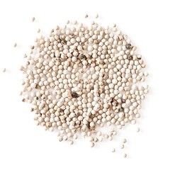 White Peppercorn Seeds (30) / Vining / Florida Grown / Rare