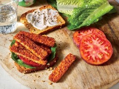 Organic Soy-Free Tempeh Starter Rhizopus Oligosporus Plant Based Protein (100g)