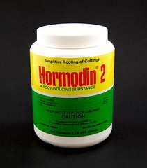 Hormodin #2 Rooting Hormone Powder- 1 lb Jar 0.3% IBA Root Stimulant-Propagation