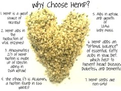 1 Pound (16 oz) Hemp Hearts Raw Shelled Hemp Seeds, Natural,FRESH