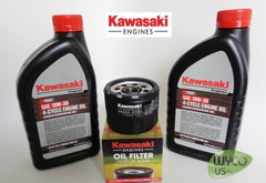 OEM ENGINE OIL CHANGE KIT, (2) OIL 10W-30 & (1) OIL FILTER 49065-7007,49065-0721