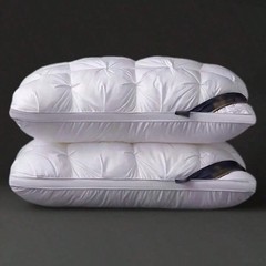 Queen Size Pillow Set of 2 Soft Gel Cushions for All Sleeping Positions UPGRADED