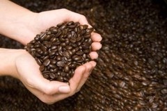 Brazilian Yellow Bourbon Coffee Beans, Medium Roasted Daily 2 Bags 1 Pound Each