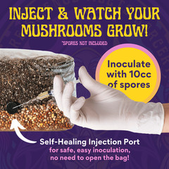 6 lb All-in-One Mushroom Grow Kit In Bag