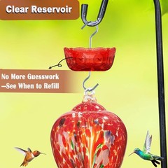 Ant Moat for Hummingbird Feeders, (4 Pack, 6 OZ) Vintage Style Humingbird Feeder