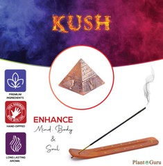 KUSH Incense Sticks 7″ Bulk Pack Wholesale Hand Dipped Lot