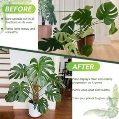 4 Packs Moss Poles Climbing Plants Stackable & Refillable Plastic Support Stakes