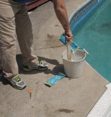 Rx Clear 68% Calcium Hypochlorite Super Chlorine Pool Shock 24 x 1 lb Bags