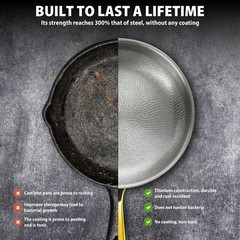 Pure Titanium Hammered Frying Pan with Lid, 12 Inch Skillet, No Coating Cookw…
