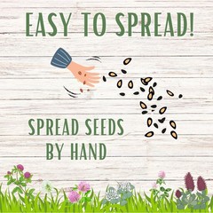 Flawn Seed Kits Tri-Color Clover Seed, Equal Mix 3 Clovers, Flowering Lawn