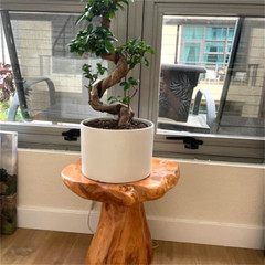 GREENAGE Natural Cedar Mushroom Stool Plant Stand Nightsstand Side Table 13.5″ H