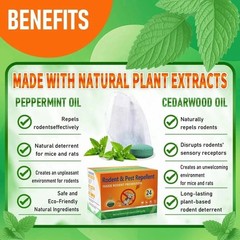 Natural Rodent Repellent Peppermint Sachets 24 Pack Mouse Mice Pest – US